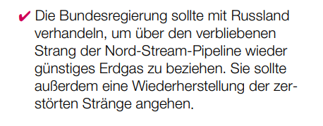 BSW-Wahlprogramm für die Bundestagswahl 2025